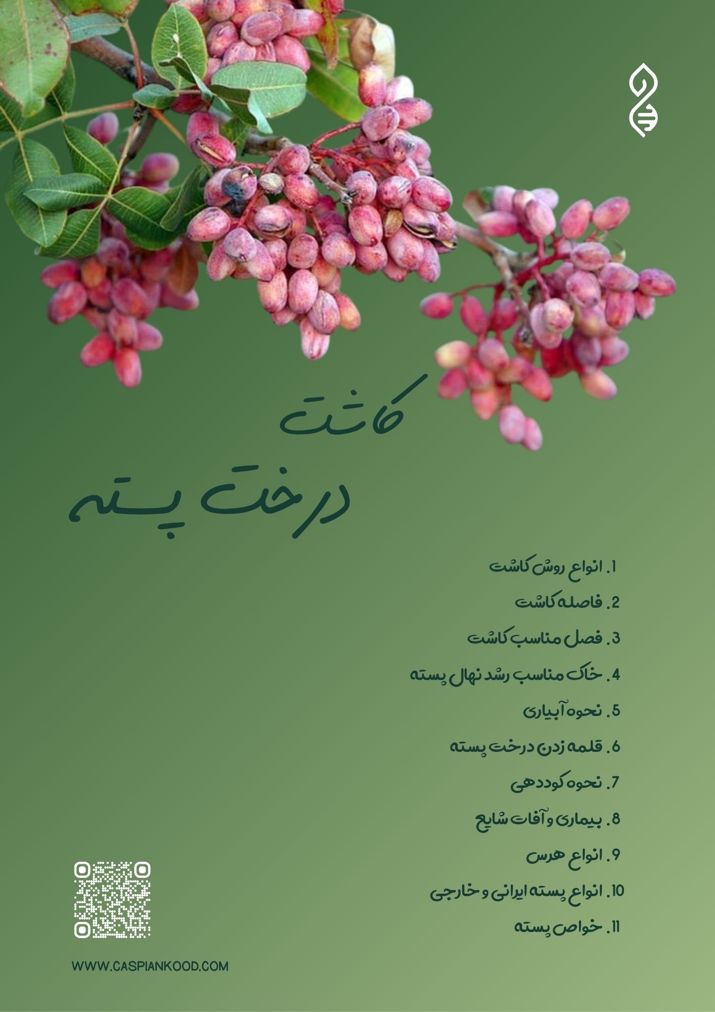 https://caspiankood.com/تازه