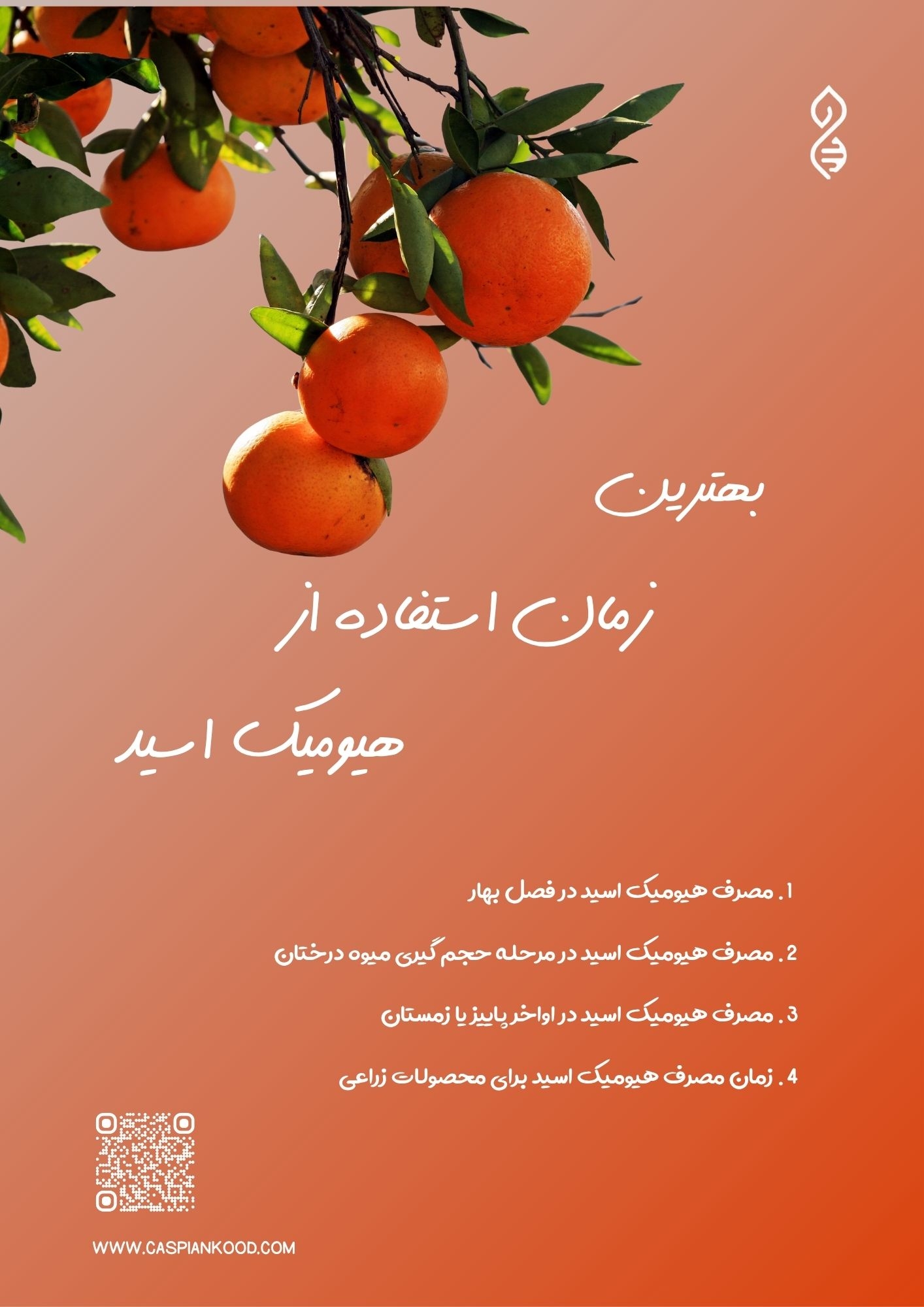 https://caspiankood.com/تازه
